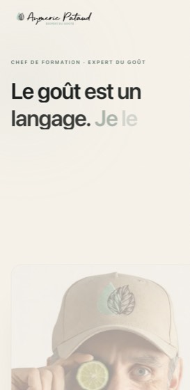 Le site de Aymeric Pataud sur mobile