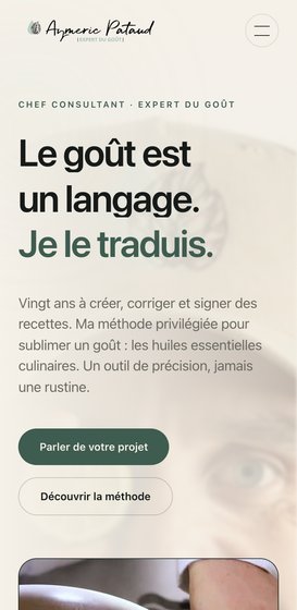Le site de Aymeric Pataud sur mobile